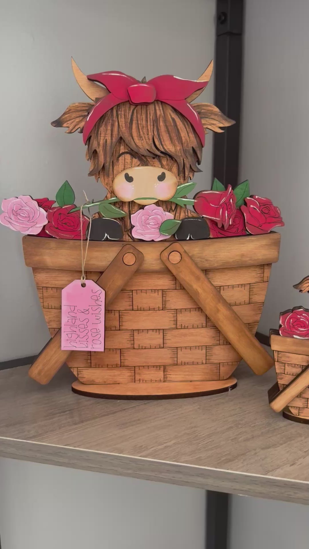 Large Basket for Inserts